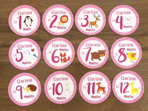 Pink Baby Clothes Bouquet & 12 Personalized First Year Belly Stickers (Animal Print)