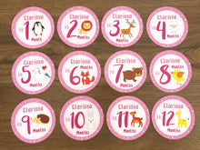 Load image into Gallery viewer, Pink Baby Clothes Bouquet &amp; 12 Personalized First Year Belly Stickers (Animal Print)